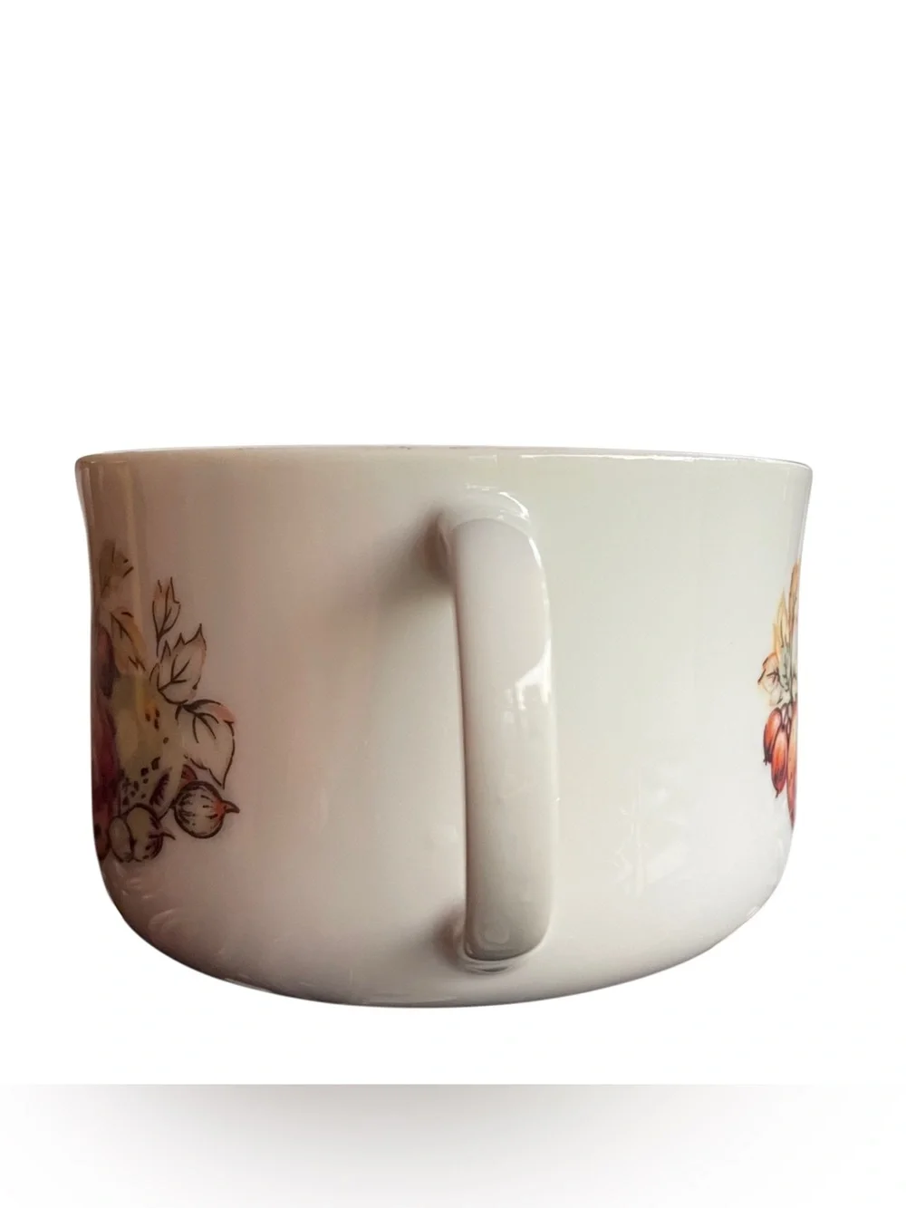 VTG MCM Autumn Harvest Fruit Soup Bowl Mug  70s Kitchen Retro